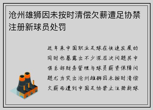 沧州雄狮因未按时清偿欠薪遭足协禁注册新球员处罚